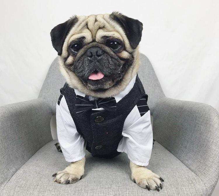 Pet Wedding Ensemble: Elegant Coral Fleece Suit For Your Furry Friend